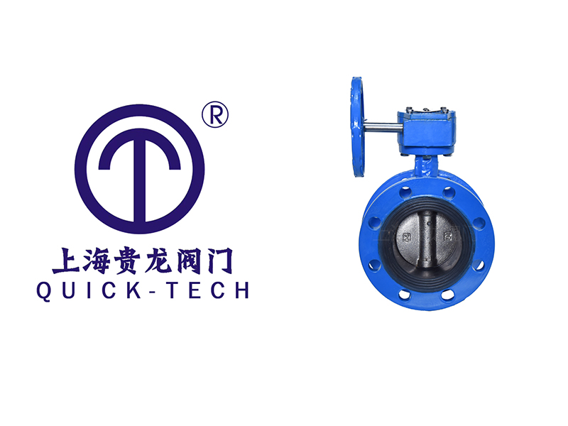 渦輪法蘭蝶閥的特點(diǎn)-上海貴龍閥門(mén)官網(wǎng)