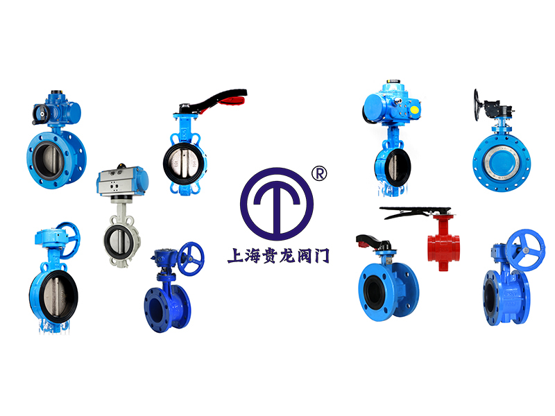 蝶閥的選型規(guī)則-上海貴龍閥門