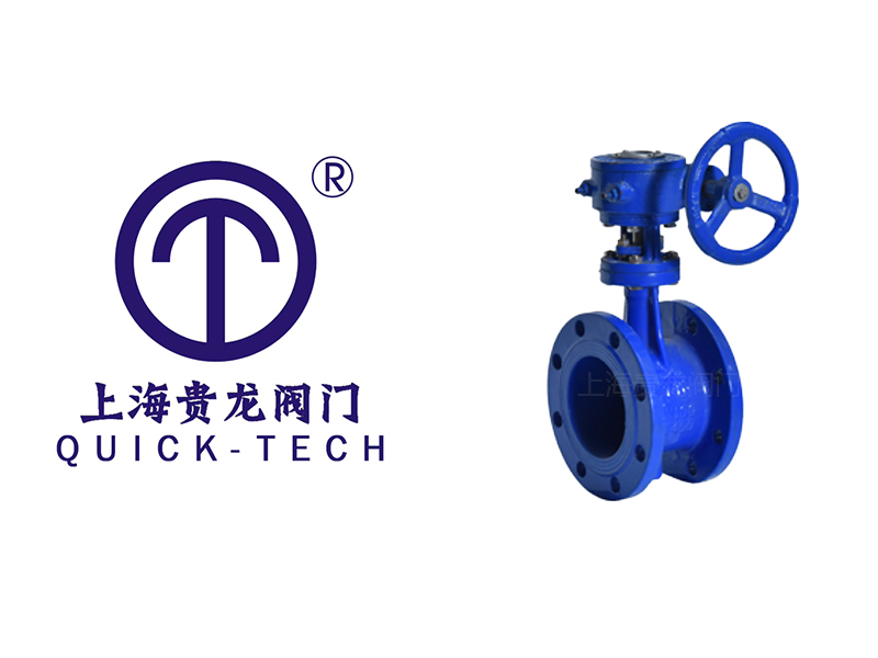 雙偏心法蘭蝶閥的特點(diǎn)-上海貴龍閥門
