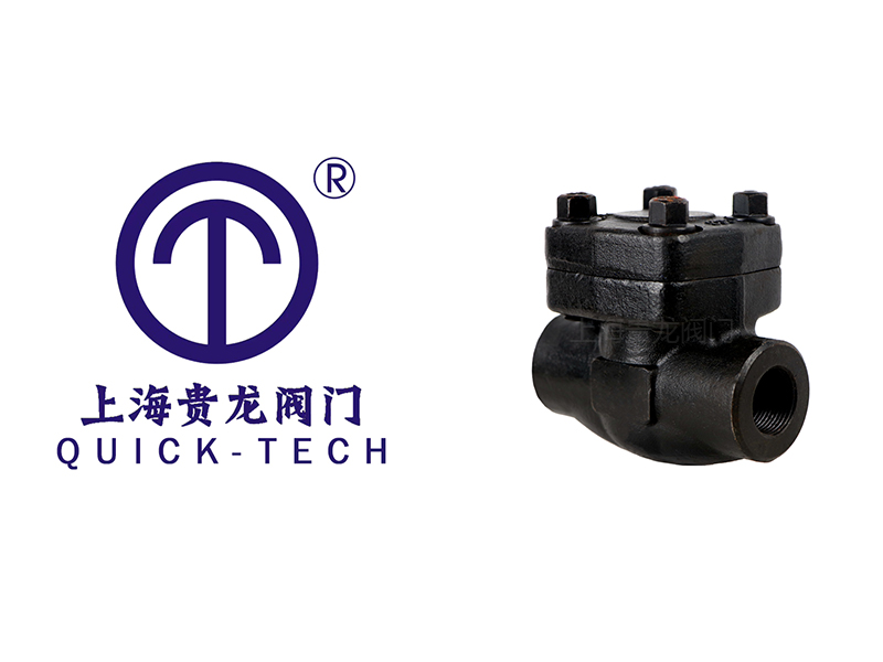 上海貴龍閥門鍛鋼止回閥的應(yīng)用領(lǐng)域！