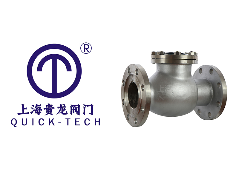 上海貴龍閥門旋啟式止回閥的產品特點！