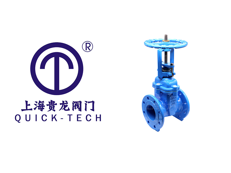 上海貴龍閥門RRHX明桿彈性座封閘閥的設計特點！