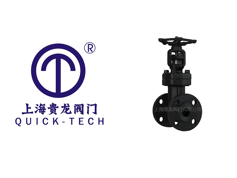 上海貴龍閥門有限公司鍛鋼波紋管截止閥的優(yōu)點！