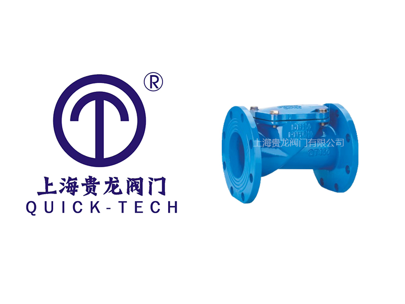 上海貴龍閥門有限公司橡膠瓣止回閥的特點(diǎn)！