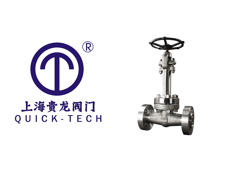 上海貴龍閥門(mén)有限公司鍛鋼低溫F316閘閥的工作原理...