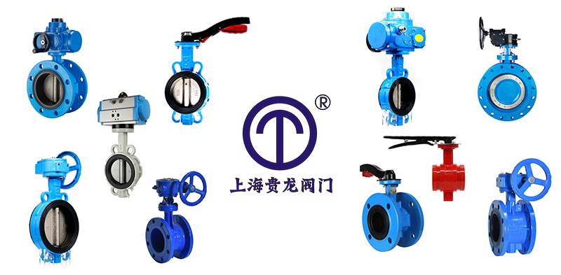 1683342772.jpg 各類蝶閥拼圖貴龍.jpg