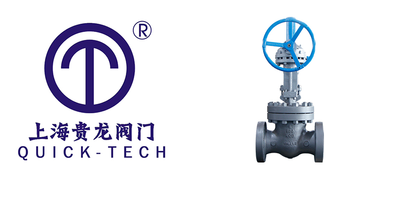 1691719591.jpg Y型過濾器拼圖.jpg