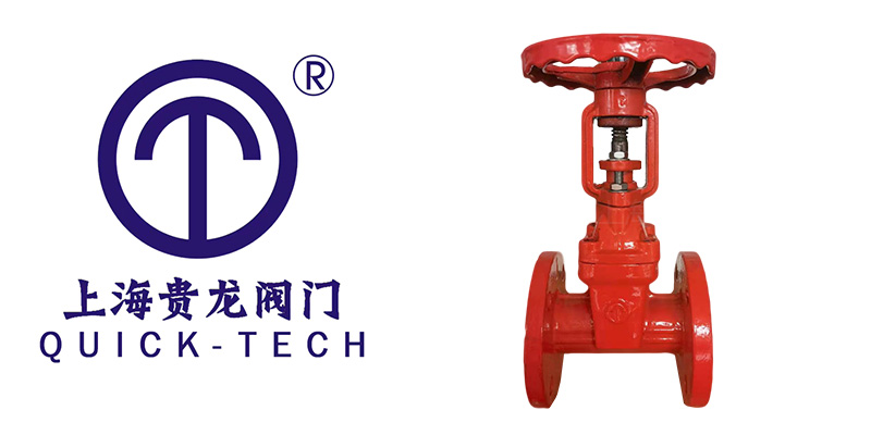 1692325913.jpg Y型過濾器拼圖.jpg