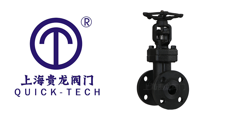 1717123764.jpg 貴龍新聞標題圖片1.jpg