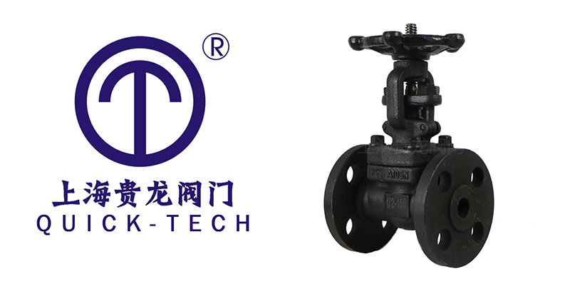 1718329789.jpg 貴龍新聞標(biāo)題圖片1.jpg