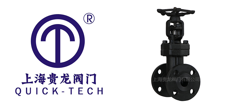 1730424329.jpg 貴龍新聞標(biāo)題圖片1.jpg