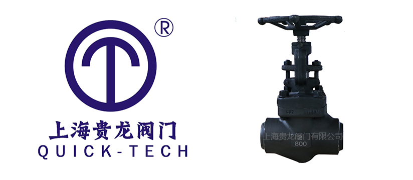 1732238857.jpg 貴龍新聞標題圖片1.jpg